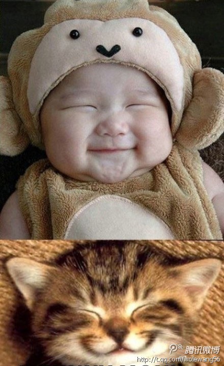 小孩跟小猫一样的表情