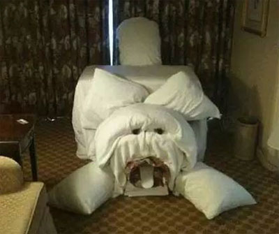 宾馆里的毛巾艺术
