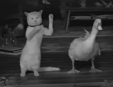 小鸭与小猫一起跳舞
