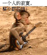 弹吉它唱歌的猴子