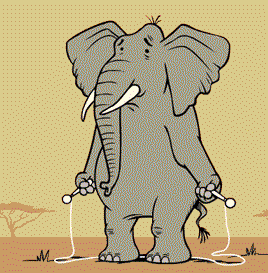 大象也爱跳绳运动