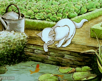 小猫仔在河里捞鱼
