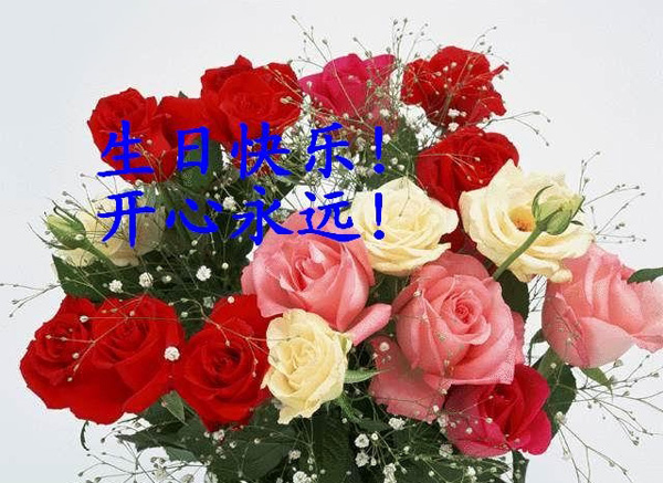 送束鲜花，祝你生日快乐永远开心