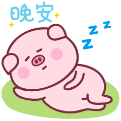 本猪猪要睡觉了，晚安