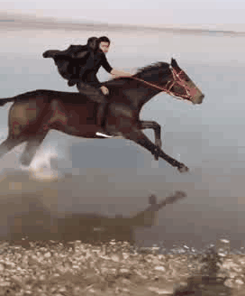 骑着烈马在湖边狂奔