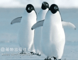 三只快乐的企鹅