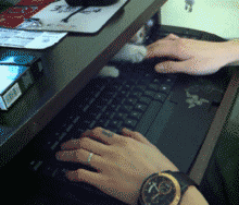 小猫躲在电脑桌里面不出来