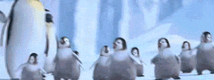 一群跳舞的企鹅