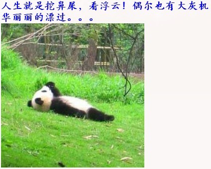 熊猫国宝的悠闲生活