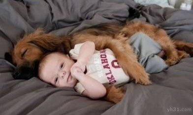 狗狗抱着小宝宝睡觉