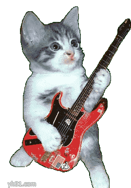 不停弹吉它的小猫