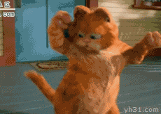 咖啡猫搞怪跳舞