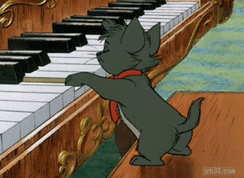 小猫来个乱弹琴