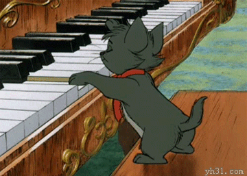弹钢琴的猫咪
