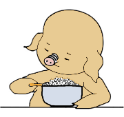 小猪猪吃米饭