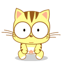 星猫宝宝QQ表情大全，黄色的星猫宝贝图片