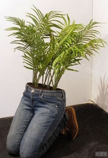 在牛仔裤里种植物