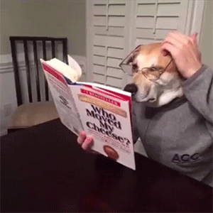 狗头人身的家伙正在看书学习