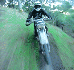 开摩托车穿越树林