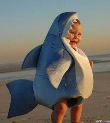 鲨鱼娃娃来了