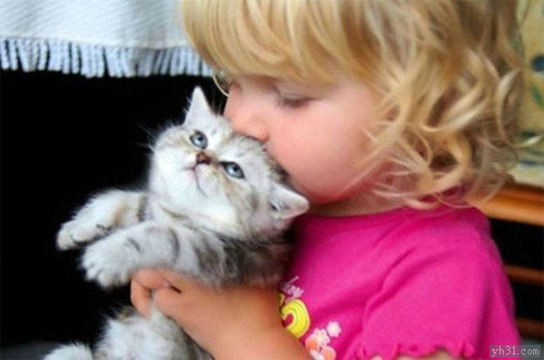 把猫咪抱起来亲一亲