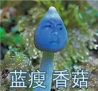 蓝瘦香菇表情包，搞笑的蓝瘦香菇图片