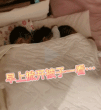 三胞胎整齐的睡觉姿势