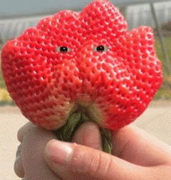 水果也做搞怪表情